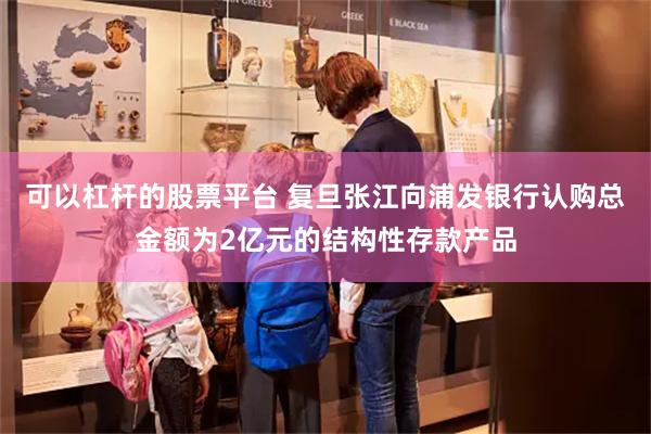 可以杠杆的股票平台 复旦张江向浦发银行认购总金额为2亿元的结构性存款产品