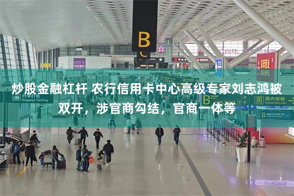 炒股金融杠杆 农行信用卡中心高级专家刘志鸿被双开，涉官商勾结，官商一体等