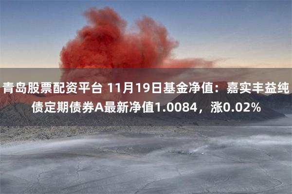 青岛股票配资平台 11月19日基金净值：嘉实丰益纯债定期债券A最新净值1.0084，涨0.02%