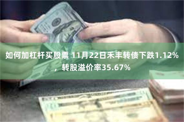 如何加杠杆买股票 11月22日禾丰转债下跌1.12%，转股溢价率35.67%