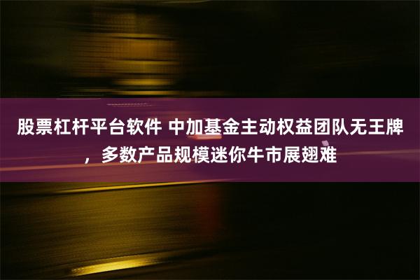 股票杠杆平台软件 中加基金主动权益团队无王牌，多数产品规模迷你牛市展翅难