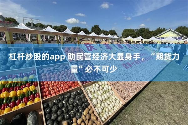 杠杆炒股的app 助民营经济大显身手，“期货力量”必不可少