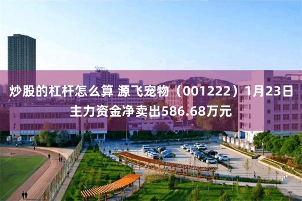 炒股的杠杆怎么算 源飞宠物（001222）1月23日主力资金净卖出586.68万元