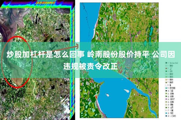 炒股加杠杆是怎么回事 岭南股份股价持平 公司因违规被责令改正