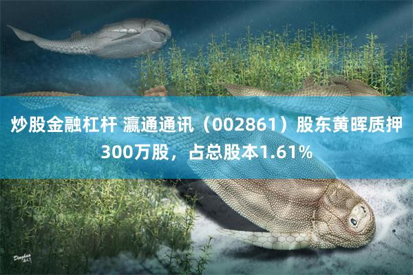 炒股金融杠杆 瀛通通讯（002861）股东黄晖质押300万股，占总股本1.61%