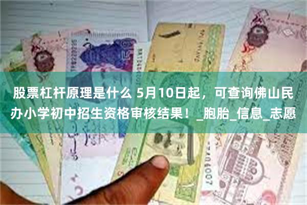 股票杠杆原理是什么 5月10日起，可查询佛山民办小学初中招生资格审核结果！_胞胎_信息_志愿