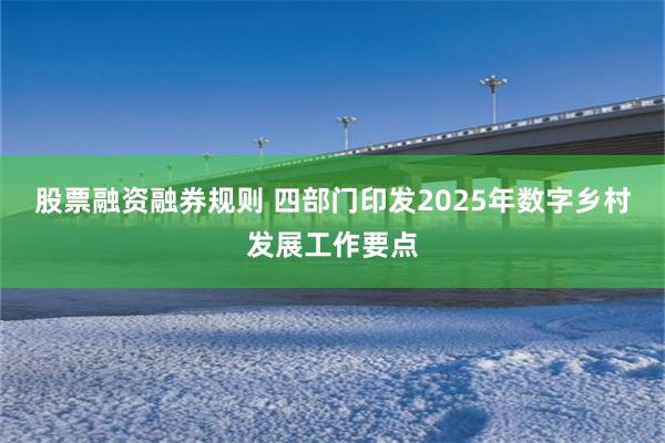 股票融资融券规则 四部门印发2025年数字乡村发展工作要点