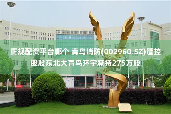 正规配资平台哪个 青鸟消防(002960.SZ)遭控股股东北大青鸟环宇减持275万股