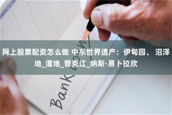 网上股票配资怎么做 中东世界遗产：伊甸园、 沼泽地_湿地_管克江_纳斯·易卜拉欣