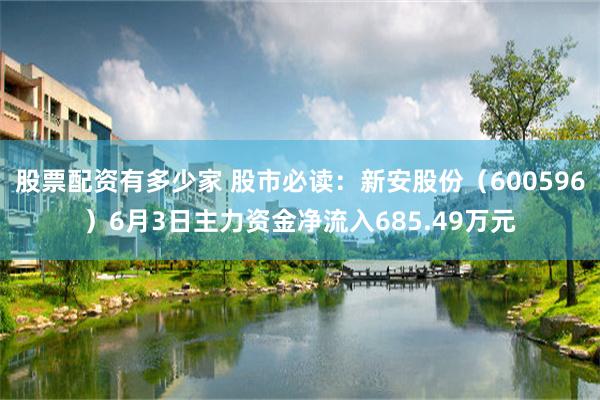 股票配资有多少家 股市必读：新安股份（600596）6月3日主力资金净流入685.49万元