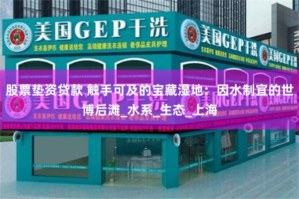 股票垫资贷款 触手可及的宝藏湿地：因水制宜的世博后滩_水系_生态_上海