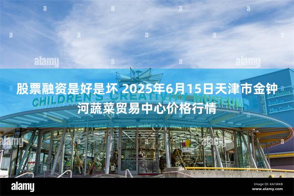 股票融资是好是坏 2025年6月15日天津市金钟河蔬菜贸易中心价格行情