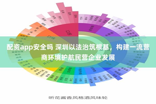 配资app安全吗 深圳以法治筑根基，构建一流营商环境护航民营企业发展