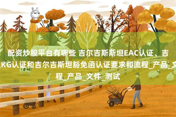 配资炒股平台有哪些 吉尔吉斯斯坦EAC认证、吉尔吉斯坦KG认证和吉尔吉斯坦豁免函认证要求和流程_产品_文件_测试