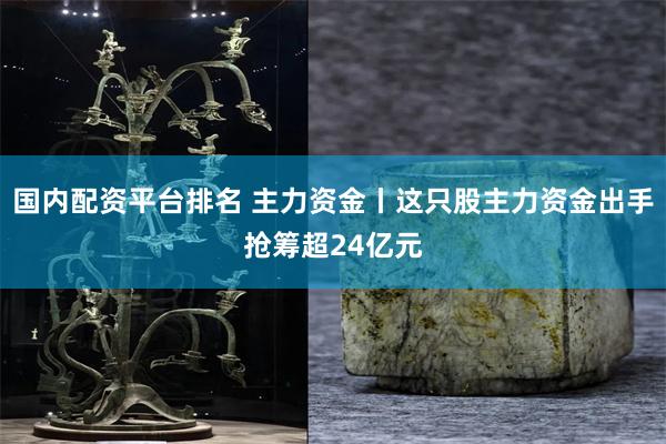 国内配资平台排名 主力资金丨这只股主力资金出手抢筹超24亿元
