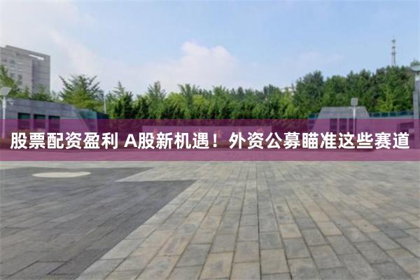 股票配资盈利 A股新机遇！外资公募瞄准这些赛道
