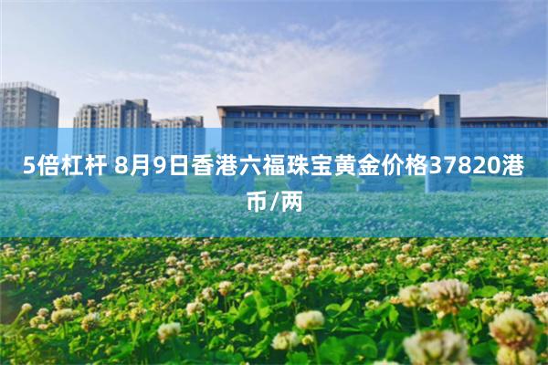 5倍杠杆 8月9日香港六福珠宝黄金价格37820港币/两