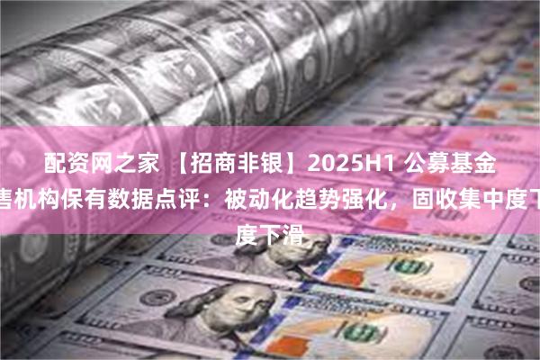 配资网之家 【招商非银】2025H1 公募基金销售机构保有数据点评：被动化趋势强化，固收集中度下滑