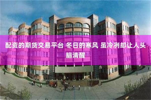 配资的期货交易平台 冬日的寒风 虽冷冽却让人头脑清醒