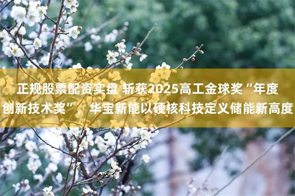正规股票配资实盘 斩获2025高工金球奖“年度创新技术奖”，华宝新能以硬核科技定义储能新高度